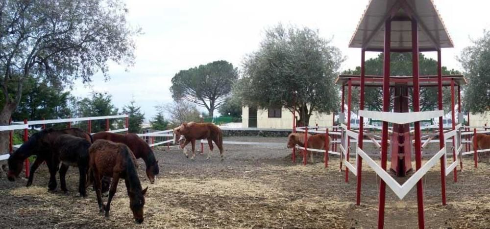 Ore Felici Park Otel Mascali Dış mekan fotoğraf